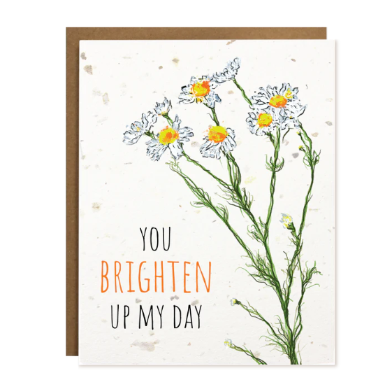 Brighten My Day. A Plantable Greeting Card