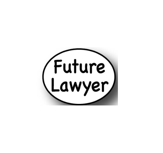 Lawyer Lapel Pins