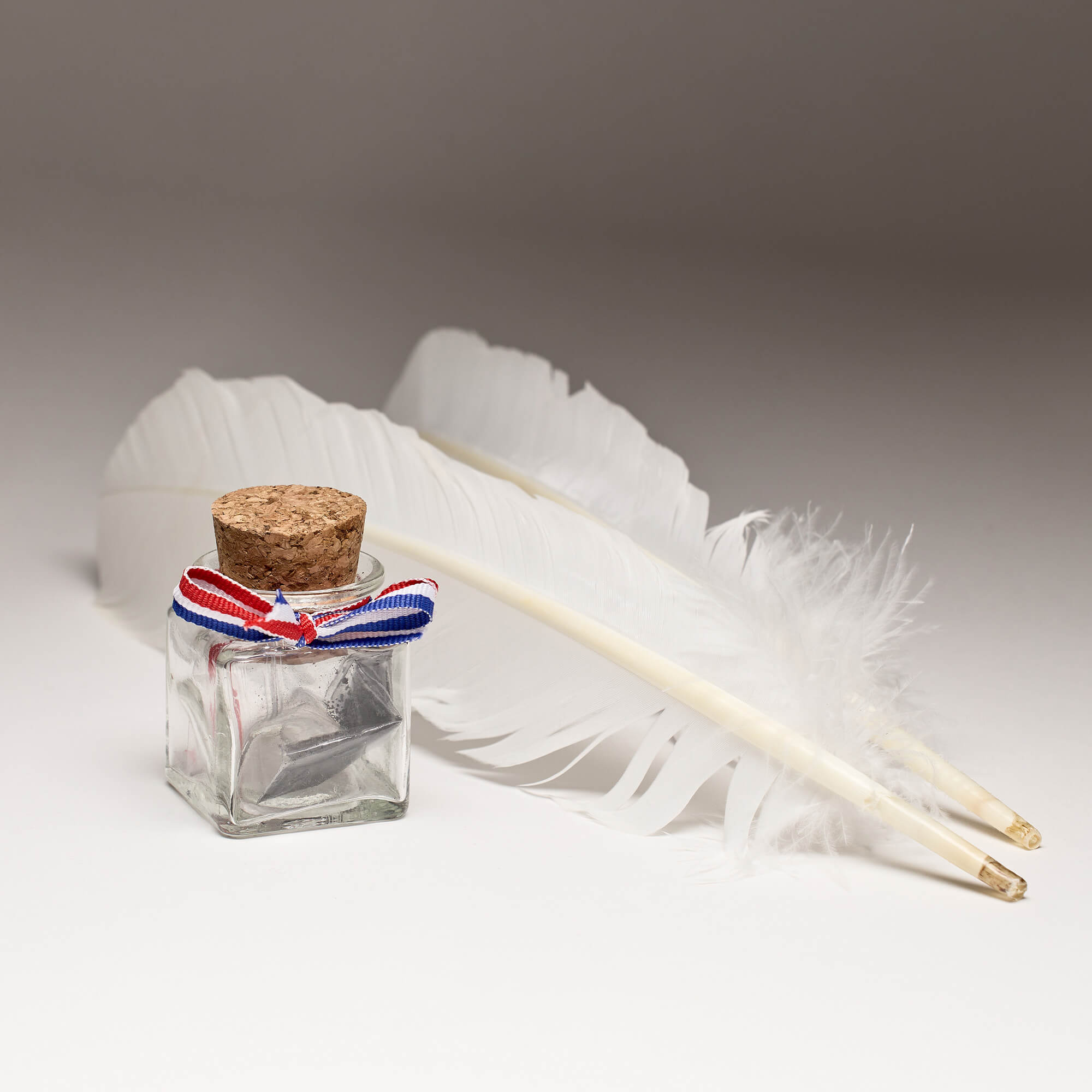 Quill Writing Instruments Inkwell w/ 2 Quills and Ink – Supreme Court Gifts